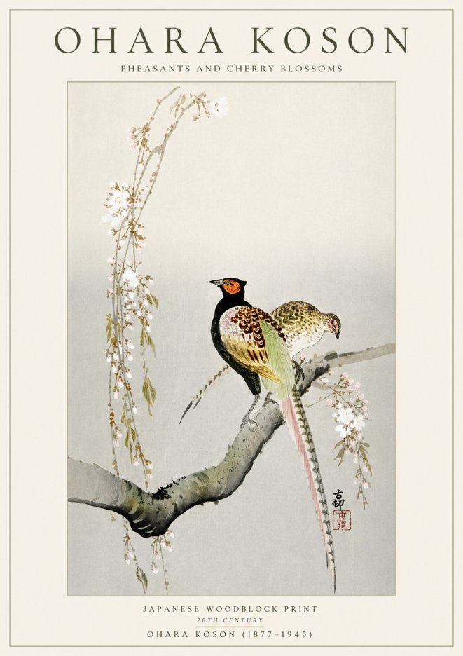 Ohara Koson Pheasants and Cherry Blossoms II No5 - Poszter