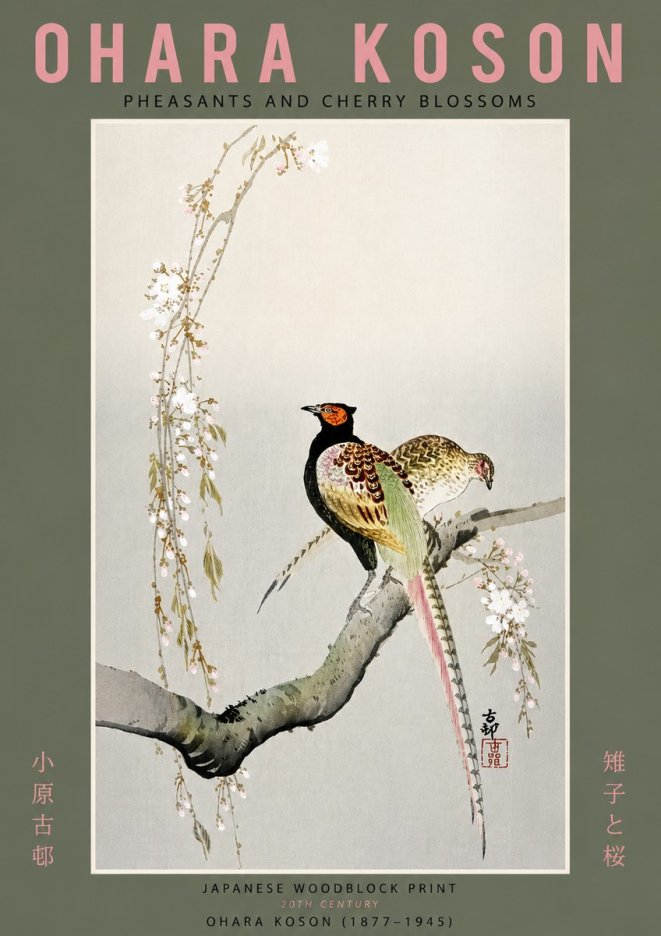 Ohara Koson Pheasants and Cherry Blossoms II No6 - Poszter