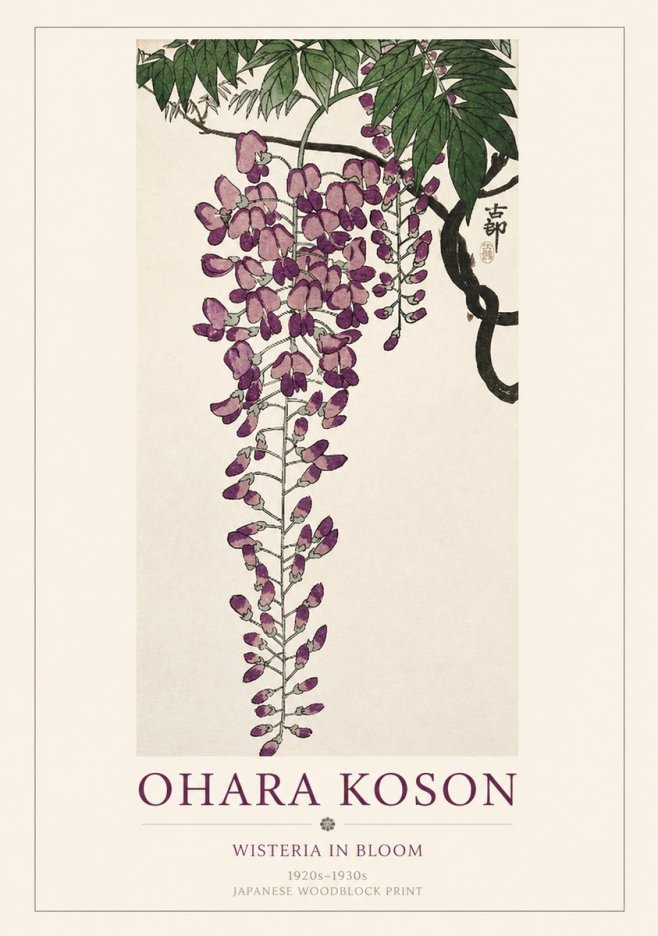 Ohara Koson Wisteria in Bloom No1 - Poszter