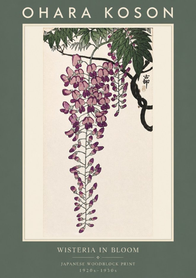 Ohara Koson Wisteria in Bloom No2 - Poszter