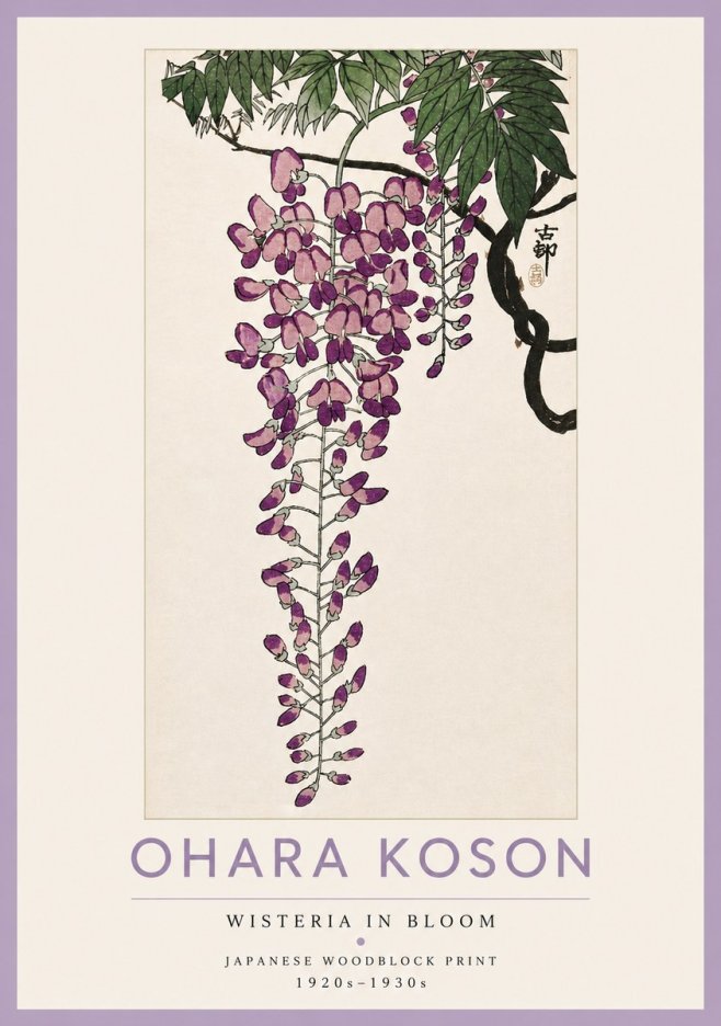 Ohara Koson Wisteria in Bloom No4 - Poszter