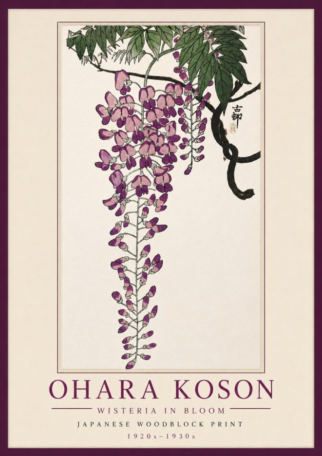 Ohara Koson Wisteria in Bloom No5 - Poszter