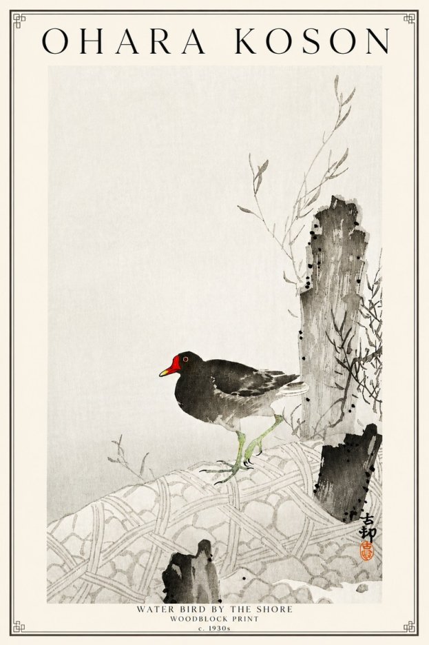 Ohara Koson Water Bird by the Shore No3 - Poszter