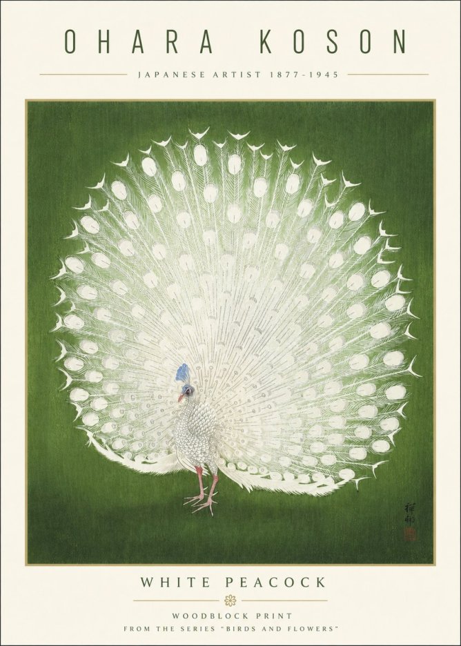 Ohara Koson White Peacock No3 - Poszter
