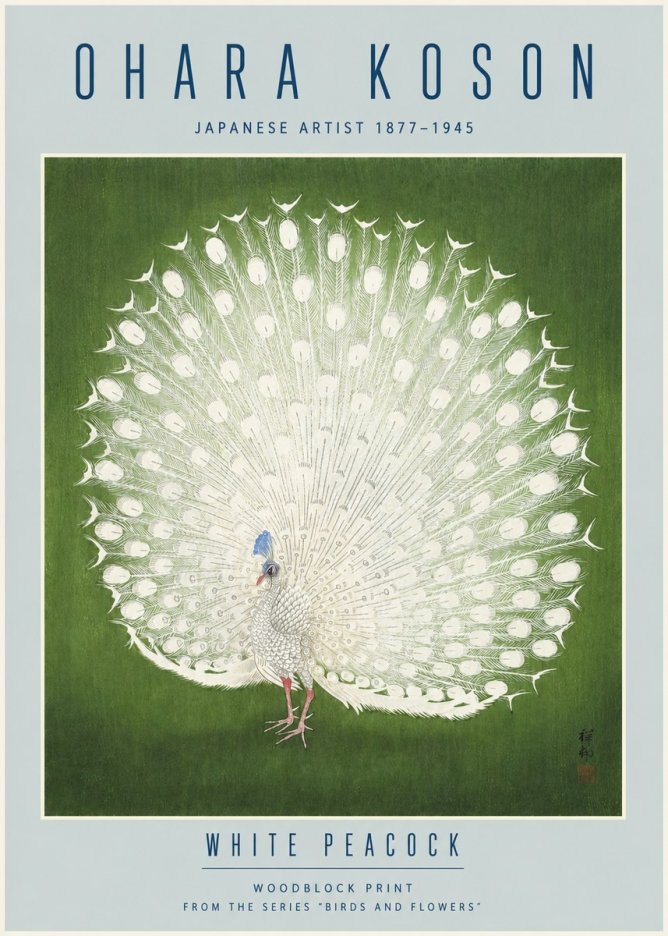 Ohara Koson White Peacock No4 - Poszter