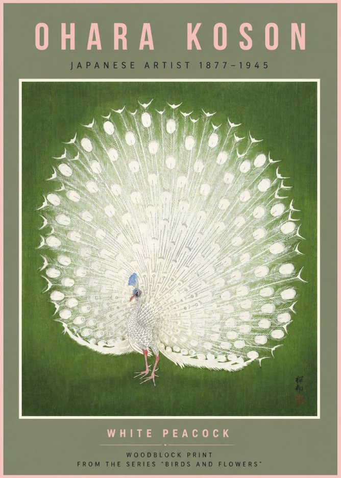 Ohara Koson White Peacock No6 - Poszter