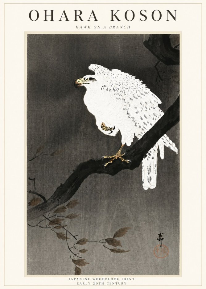 Ohara Koson Hawk on a Branch II No3 - Poszter