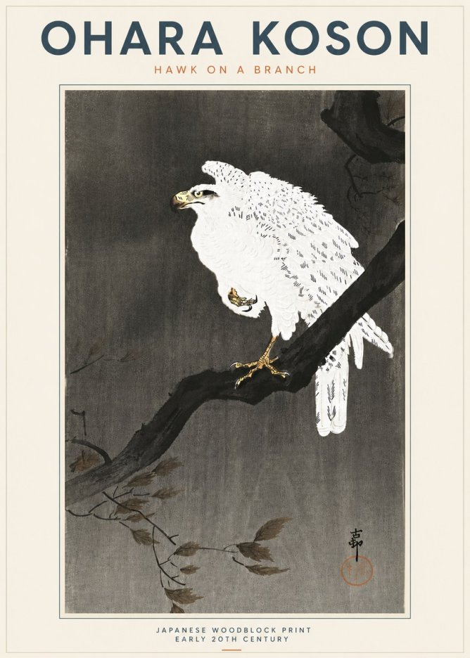 Ohara Koson Hawk on a Branch II No5 - Poszter