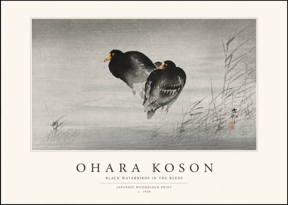 Ohara Koson Black Waterbirds in the Reeds No1 - Poszter