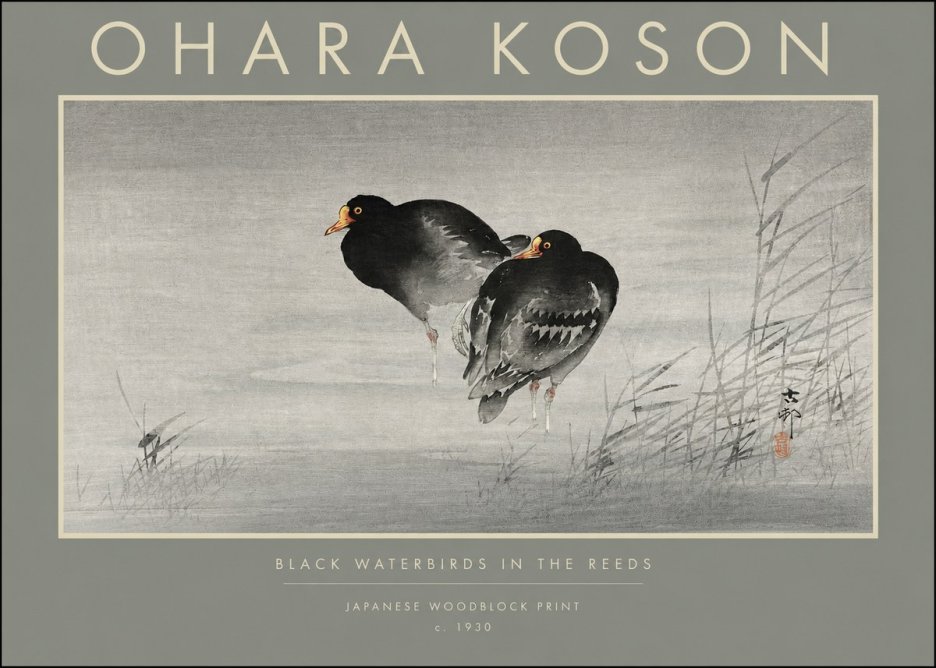 Ohara Koson Black Waterbirds in the Reeds No2 - Poszter
