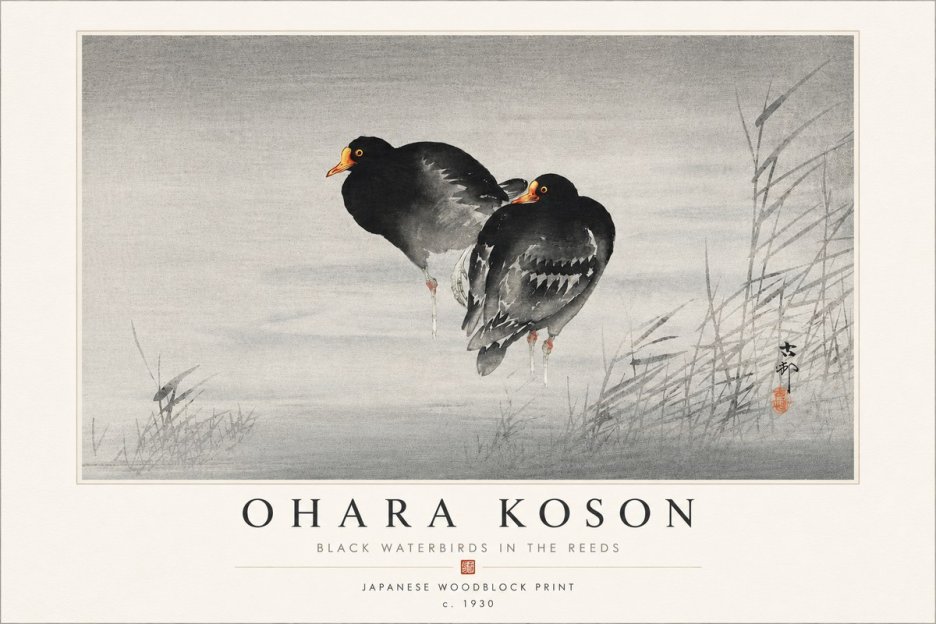 Ohara Koson Black Waterbirds in the Reeds No4 - Poszter