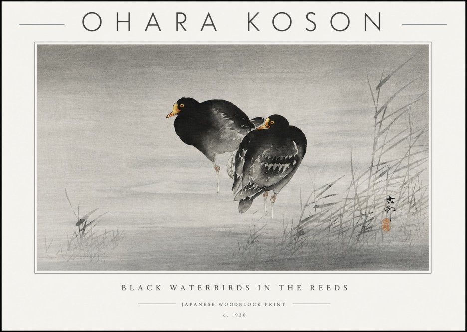 Ohara Koson Black Waterbirds in the Reeds No6 - Poszter