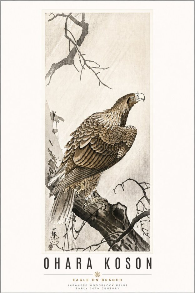 Ohara Koson Eagle on Branch No3 - Poszter