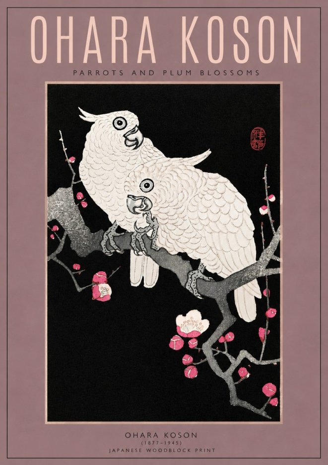 Ohara Koson Parrots and Plum Blossoms No3 - Poszter