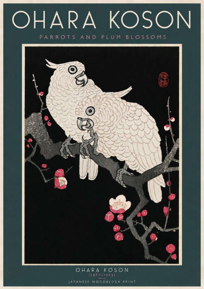 Ohara Koson Parrots and Plum Blossoms No6 - Poszter
