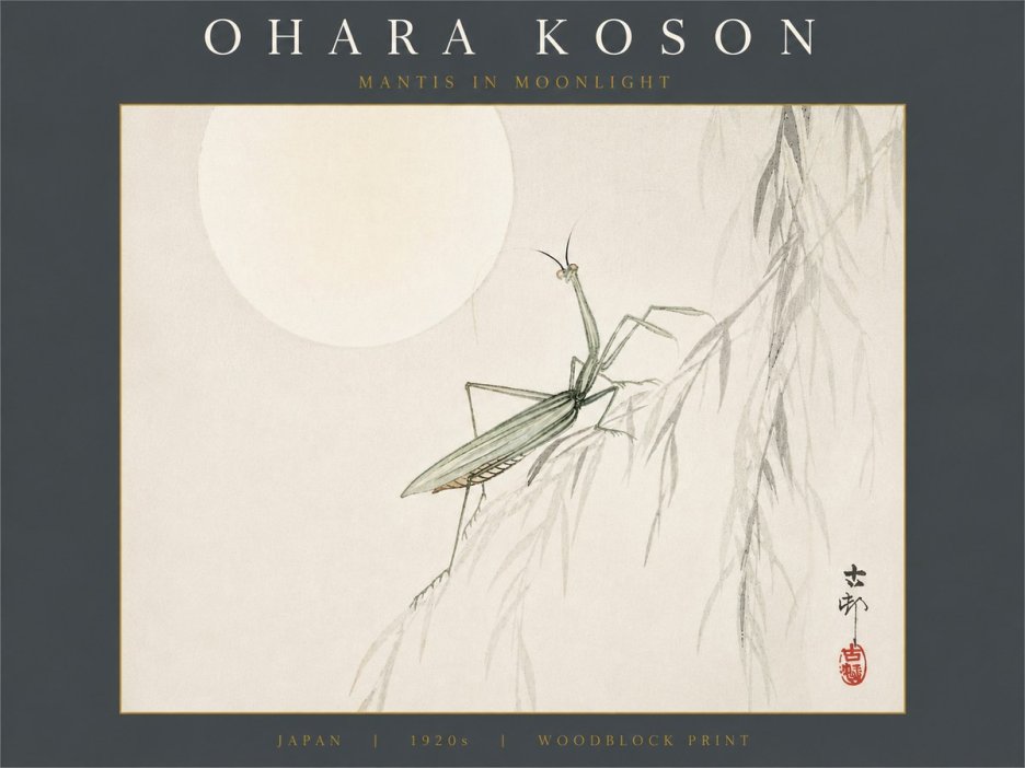 Ohara Koson Mantis in Moonlight No6 - Poszter