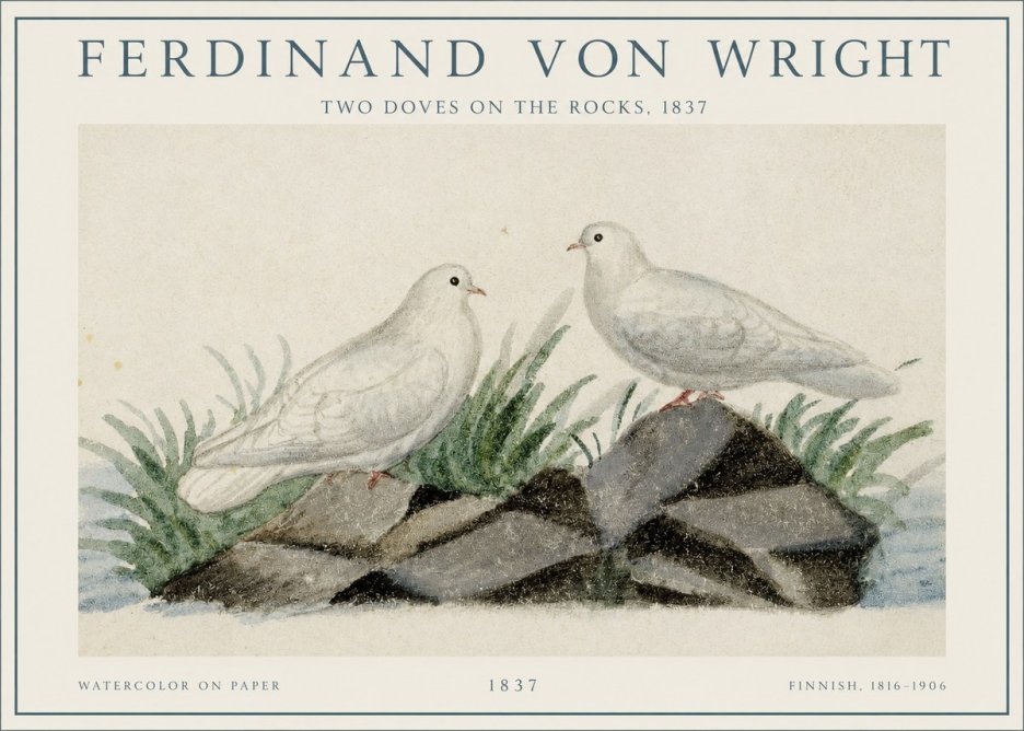Ferdinand von Wright Two Doves on the Rocks, 1837 No1 - Poszter