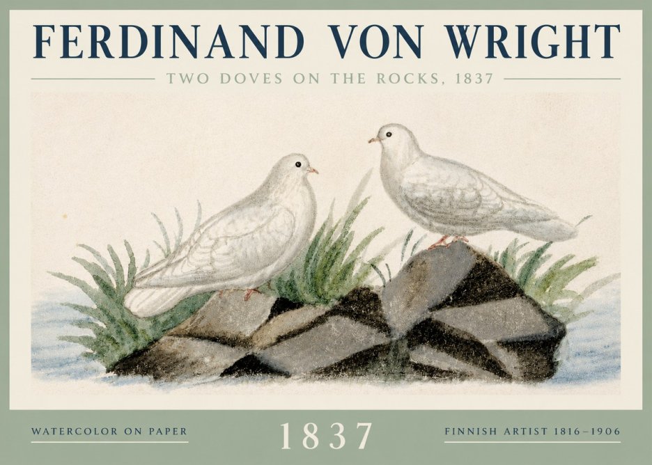 Ferdinand von Wright Two Doves on the Rocks, 1837 No3 - Poszter