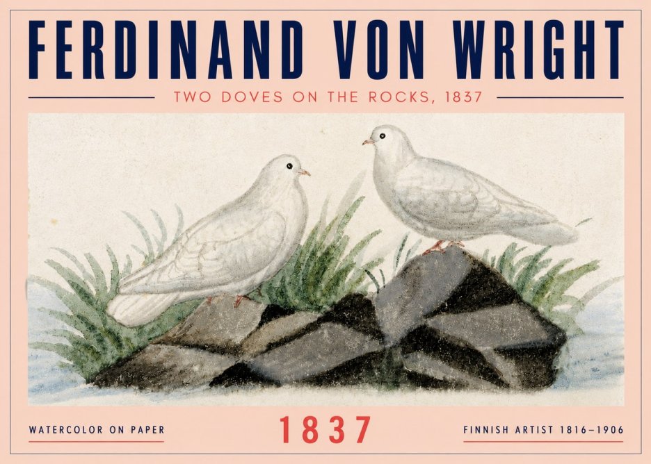Ferdinand von Wright Two Doves on the Rocks, 1837 No4 - Poszter