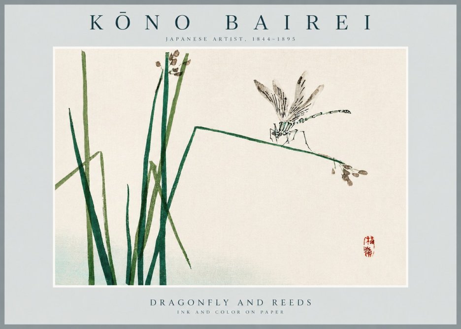 Kōno Bairei Dragonfly and Reeds No2 - Poszter