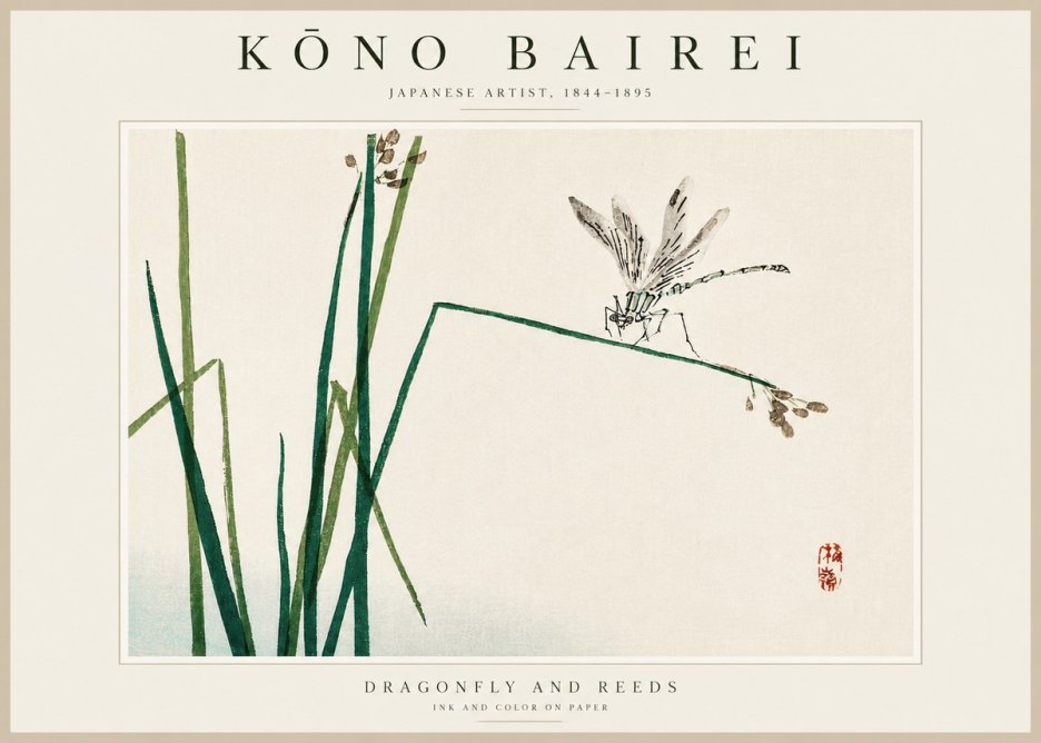 Kōno Bairei Dragonfly and Reeds No3 - Poszter