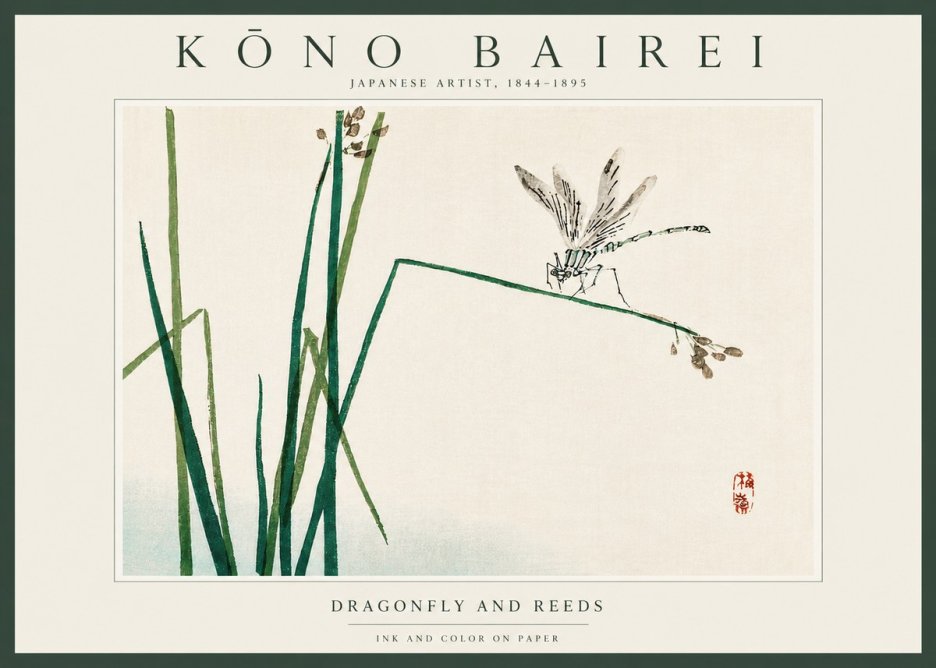 Kōno Bairei Dragonfly and Reeds No4 - Poszter