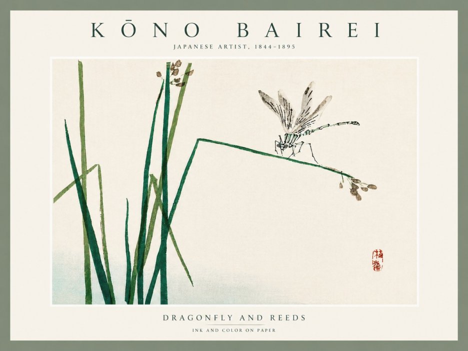 Kōno Bairei Dragonfly and Reeds No5 - Poszter