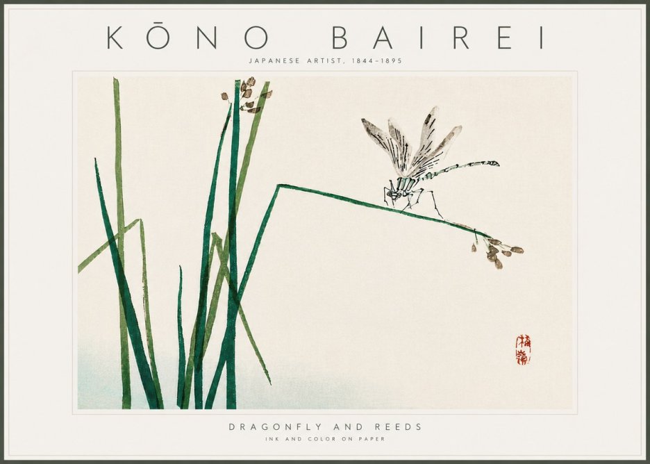 Kōno Bairei Dragonfly and Reeds No6 - Poszter