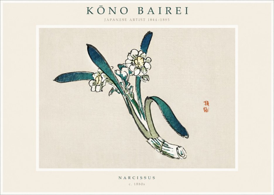 Kōno Bairei Narcissus No1 - Poszter