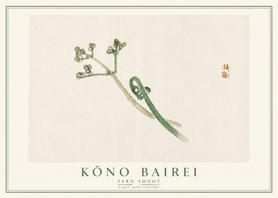 Kōno Bairei Fern Shoot No5 - Poszter