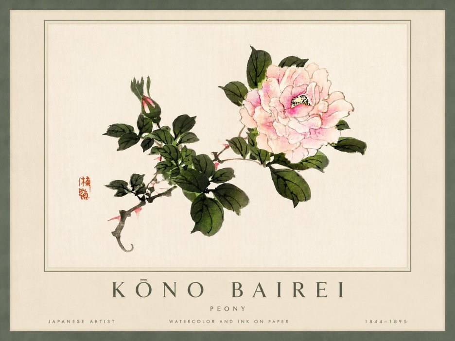 Kōno Bairei Peony I No4 - Poszter