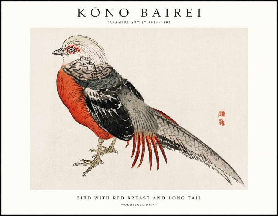 Kōno Bairei Bird with Red Breast and Long Tail No1 - Poszter