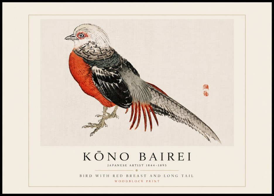 Kōno Bairei Bird with Red Breast and Long Tail No5 - Poszter