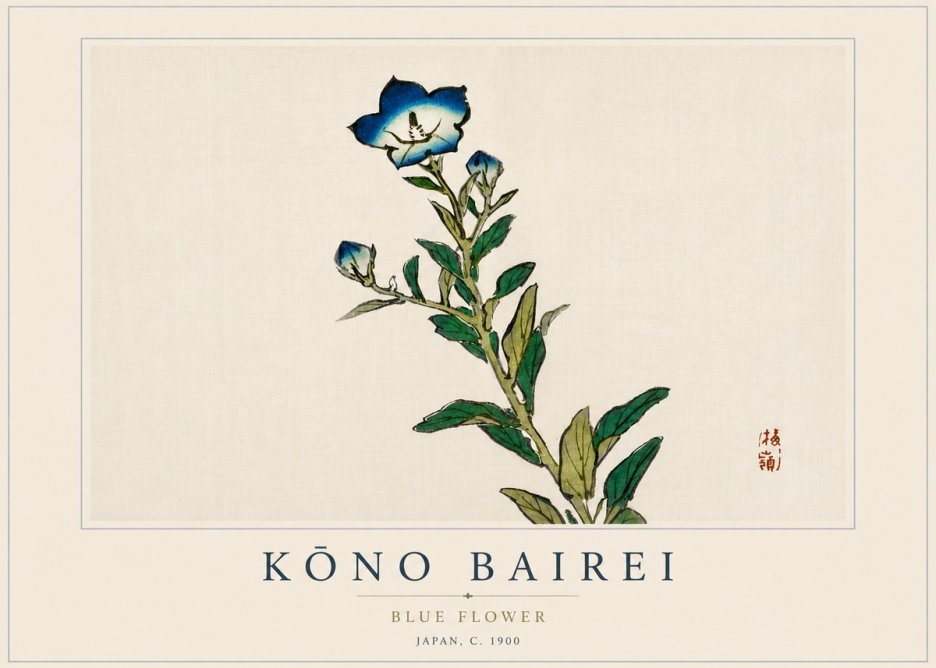Kōno Bairei Blue Flower No4 - Poszter