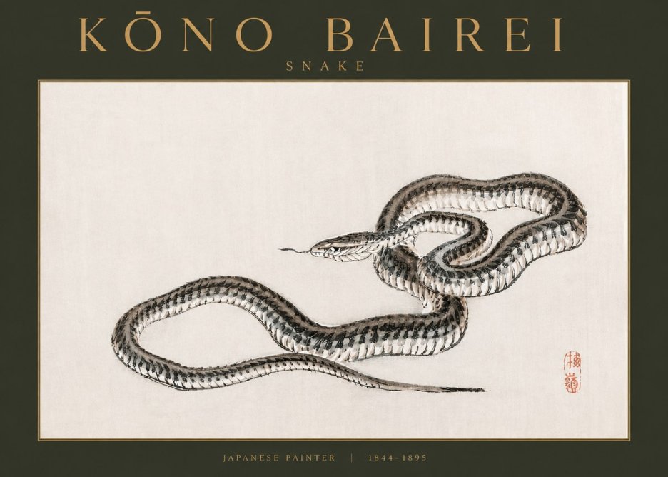 Kōno Bairei Snake No3 - Poszter