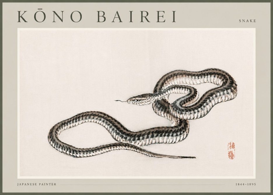Kōno Bairei Snake No4 - Poszter