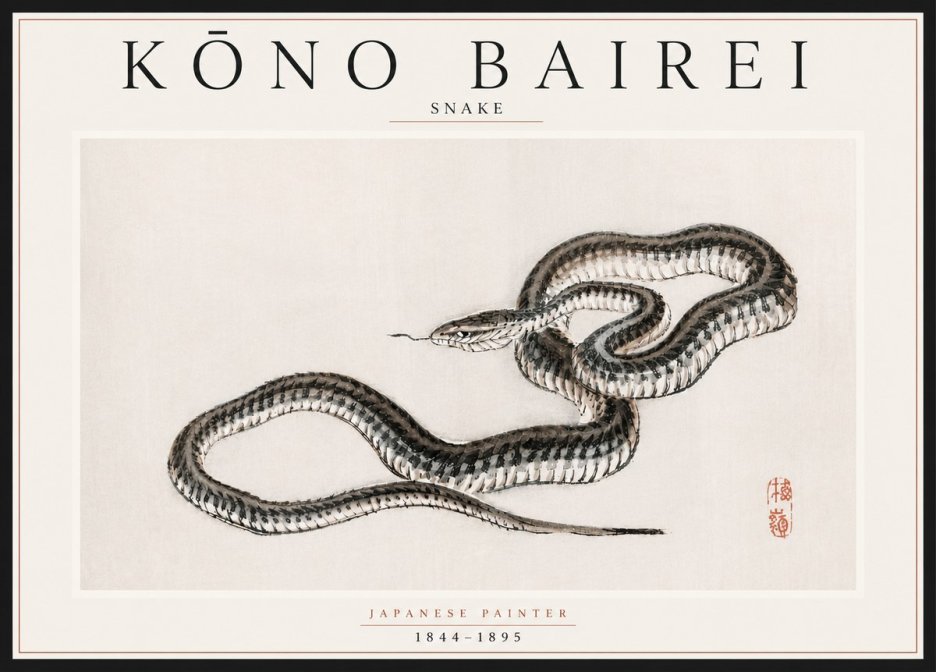 Kōno Bairei Snake No5 - Poszter