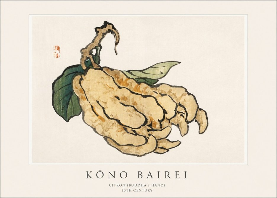 Kōno Bairei Citron (Buddha's Hand) No1 - Poszter