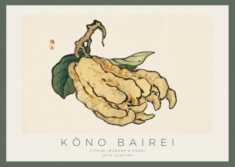 Kōno Bairei Citron (Buddha's Hand) No2 - Poszter