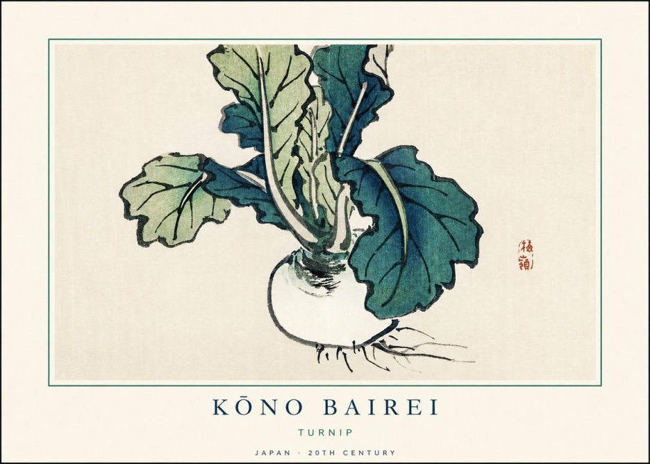 Kōno Bairei Turnip No1 - Poszter