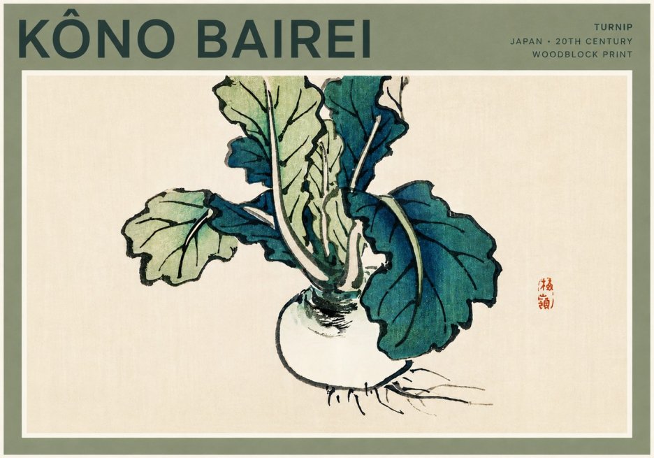 Kōno Bairei Turnip No4 - Poszter