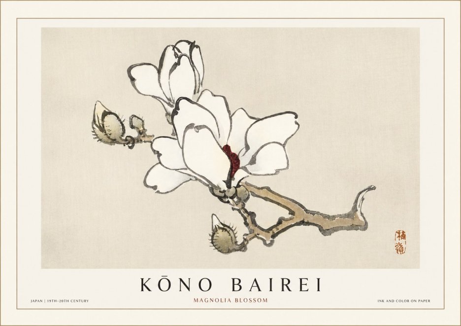 Kōno Bairei Magnolia Blossom No1 - Poszter
