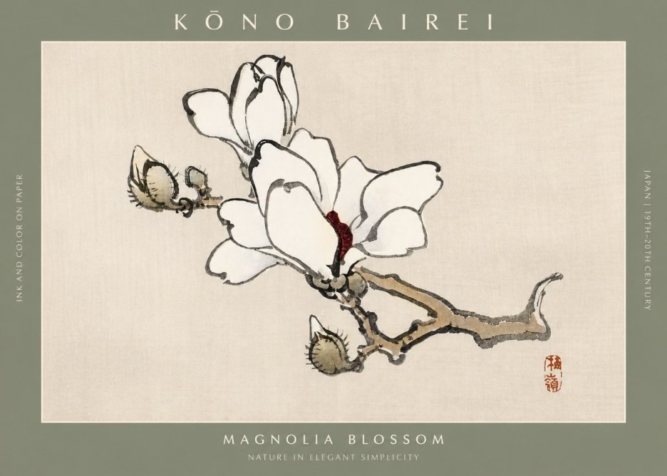 Kōno Bairei Magnolia Blossom No2 - Poszter