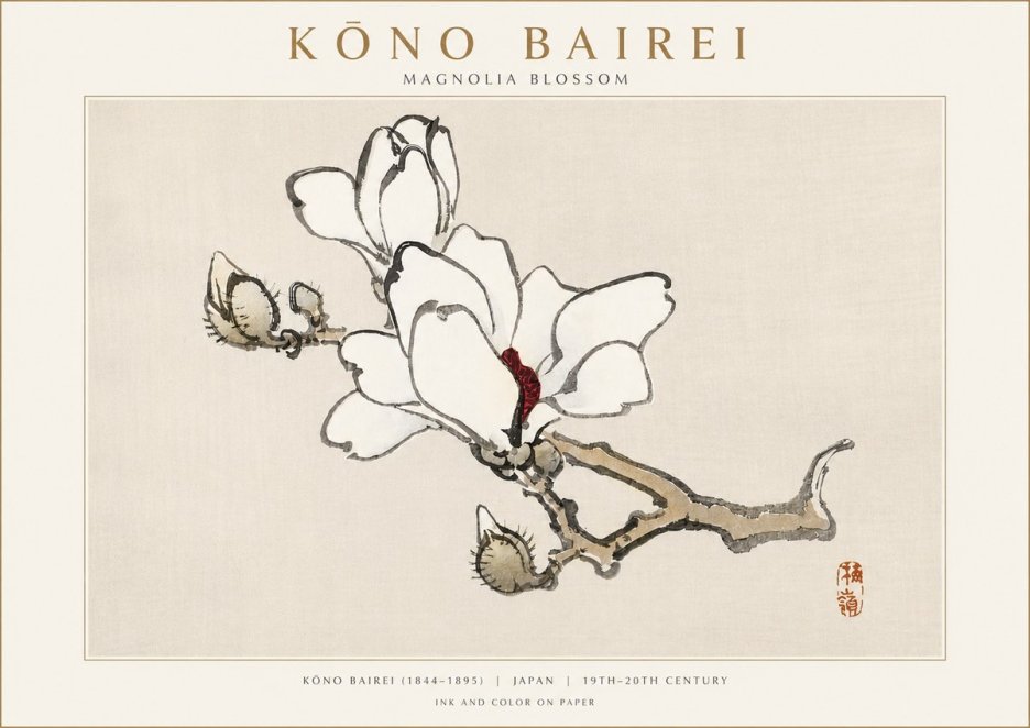 Kōno Bairei Magnolia Blossom No3 - Poszter