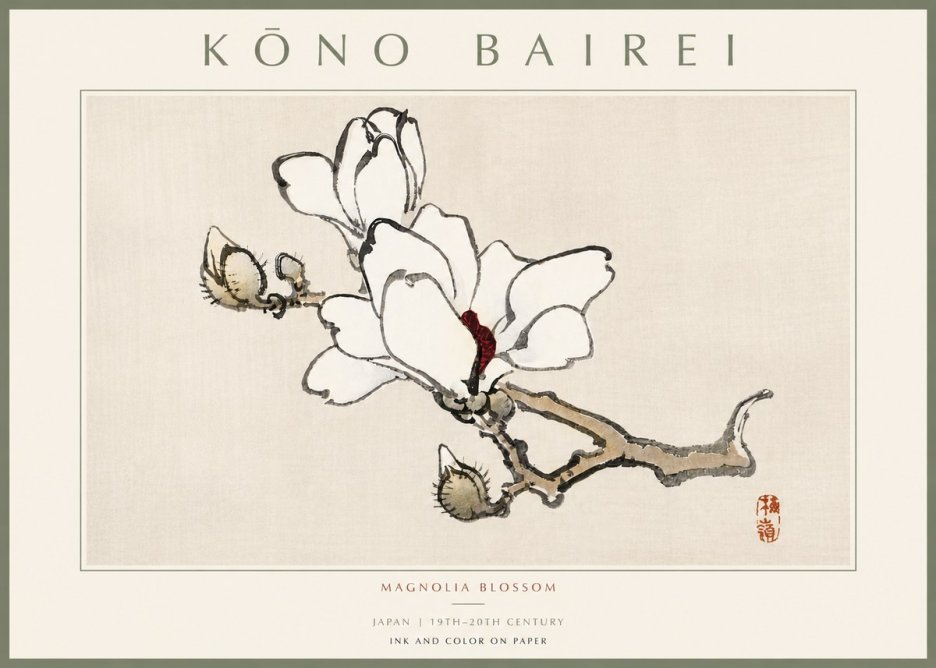 Kōno Bairei Magnolia Blossom No5 - Poszter