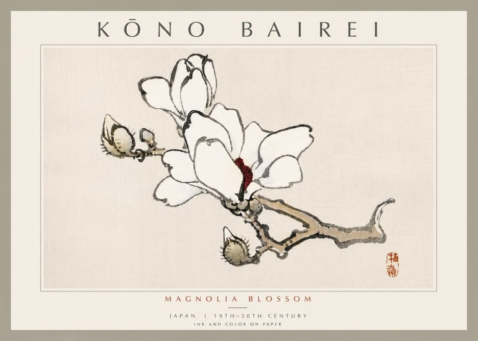 Kōno Bairei Magnolia Blossom No6 - Poszter