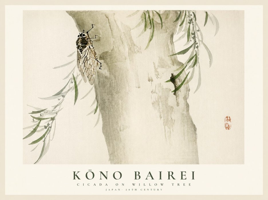 Kōno Bairei Cicada on Willow Tree No1 - Poszter