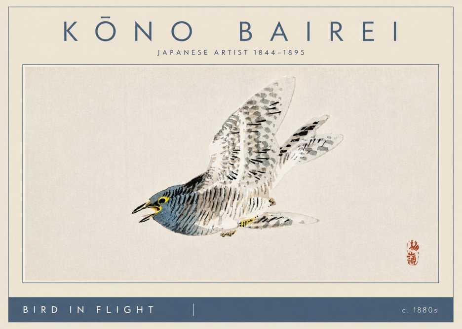 Kōno Bairei Bird in Flight No4 - Poszter