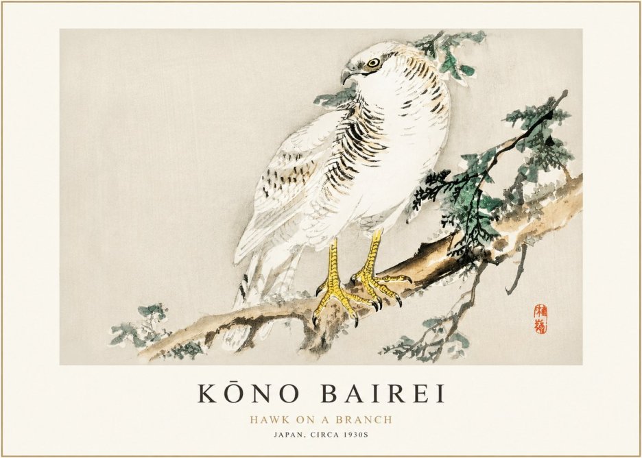 Kōno Bairei Hawk on a Branch No1 - Poszter