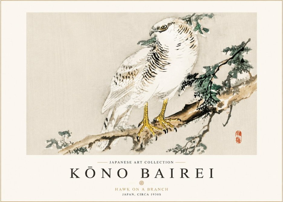 Kōno Bairei Hawk on a Branch No3 - Poszter